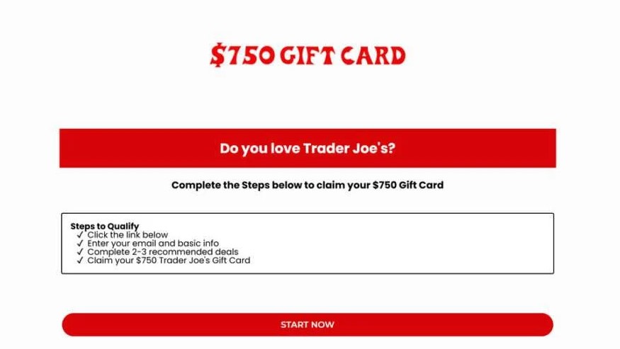 TJSummer scam